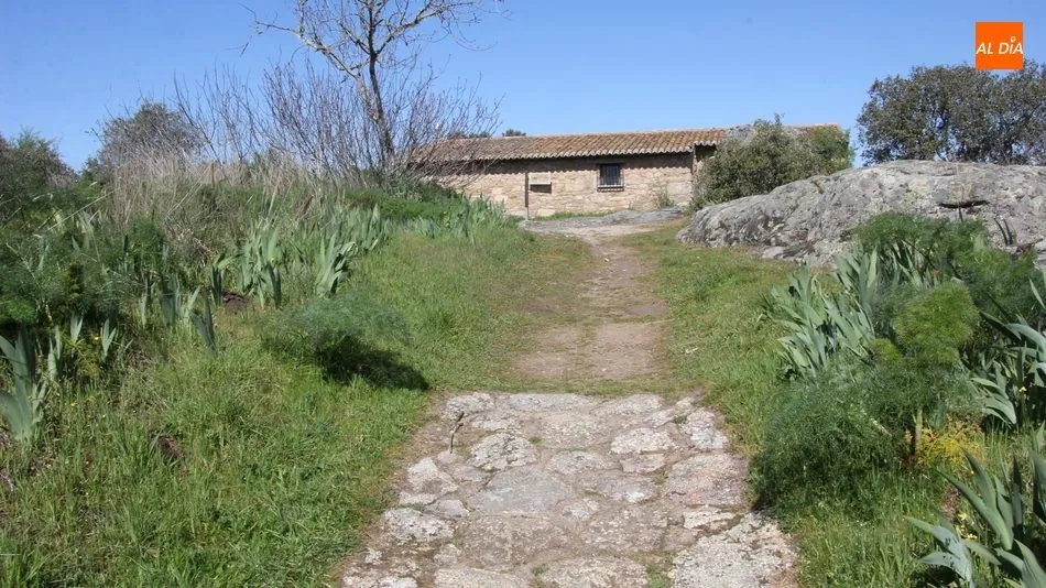 Foto 10 - El rito del pend&oacute;n y la pe&ntilde;a m&aacute;gica de Villarino  