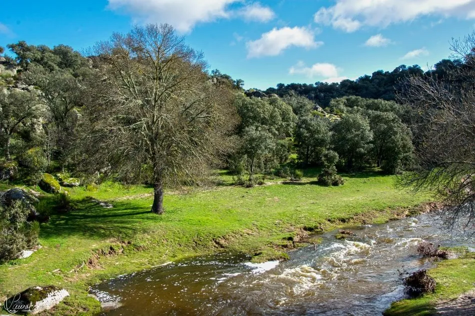 Foto 3 - El Puente Mocho, un paseo primaveral por&nbsp;el hermoso enclave de la ribera de Ca&ntilde;edo&nbsp;    &nbsp;  