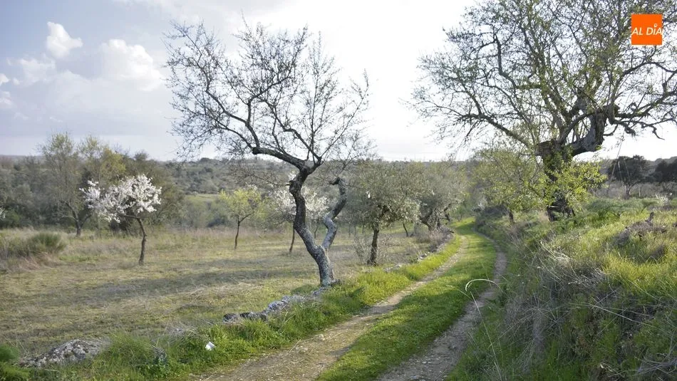 Lumbrales tendrá en breve nuevas rutas para el senderismo / Ester Corredera