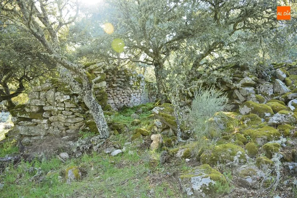 Foto 2 - Nuevas rutas en Lumbrales con un recorrido por la naturaleza, la arqueolog&iacute;a y la&nbsp;cultura  