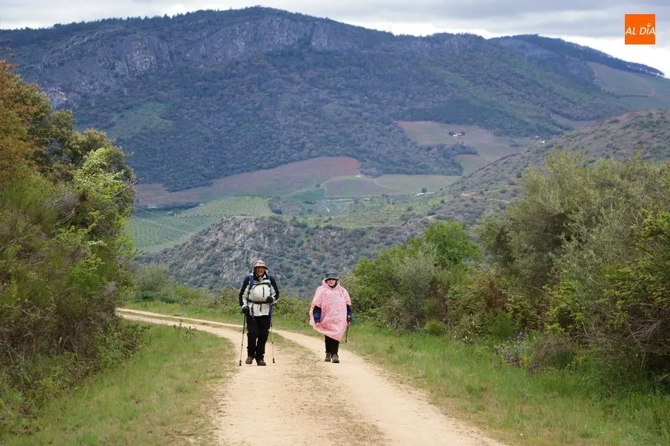Foto 6 - Las Arribes se sit&uacute;a como referente para el senderismo libre