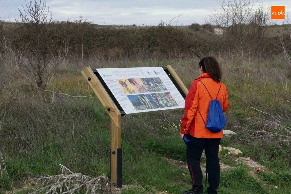 Foto 5 - &lsquo;Vitigudino sostenible&rsquo; se suma a la oferta senderista con dos rutas por la dehesa  
