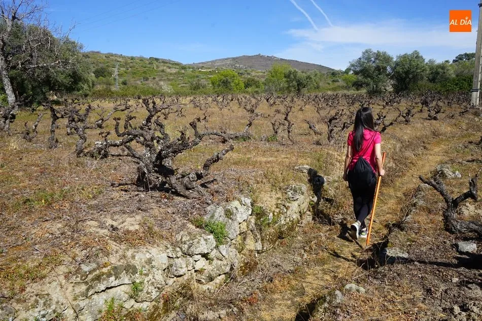 Foto 3 - Sierra de Francia: el para&iacute;so del caminante