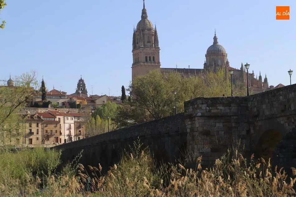 Foto 9 - Salamanca se mueve, multitud de vecinos practican deporte a orillas del Tormes