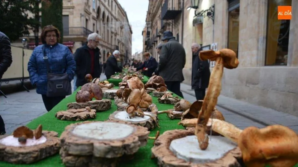 Exposición micológica de la Sociedad Lazarillo en Salamanca - Archivo