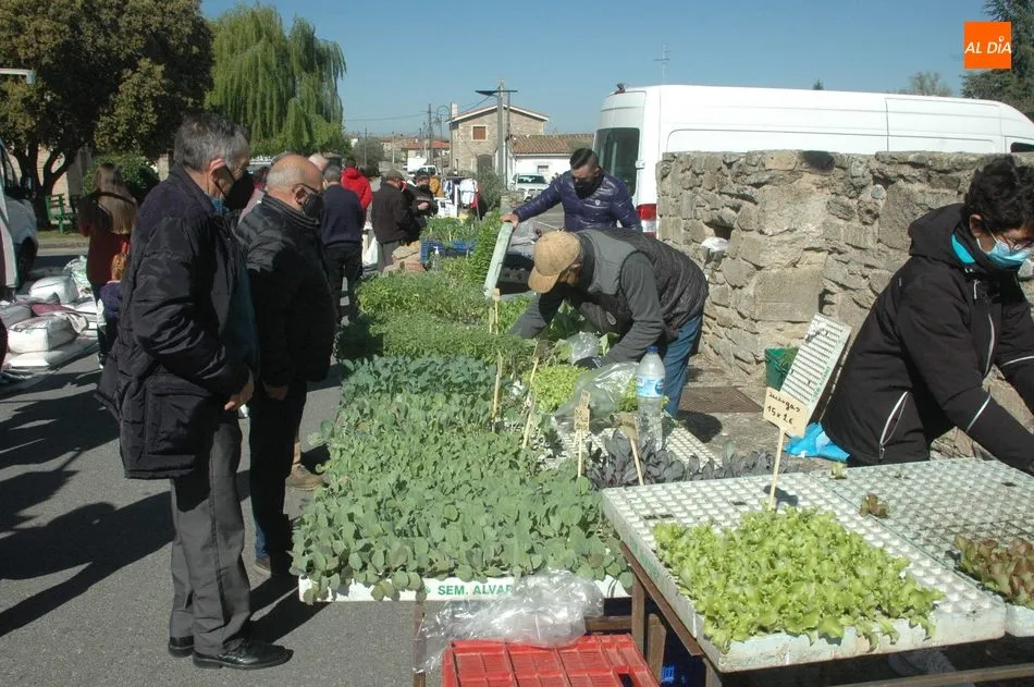 Foto 3 - El mercadillo de Trabanca acoge una buena afluencia de p&uacute;blico en su edici&oacute;n del mes de abril  