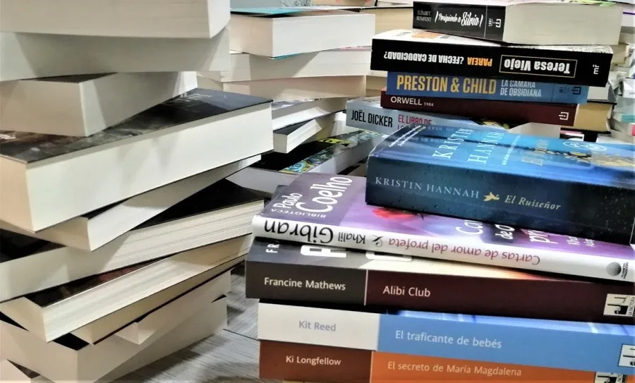 Foto 5 - El Tormes y la Papeler&iacute;a de la Suerte donan m&aacute;s de 200 libros a los Hospitales de Salamanca,...