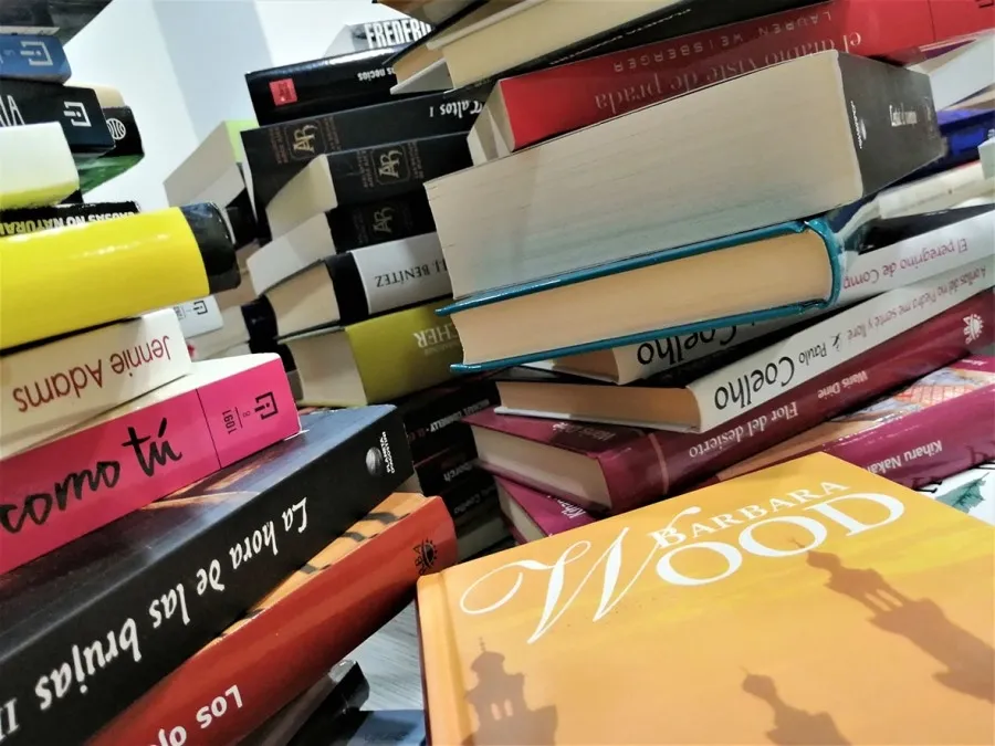 Foto 4 - El Tormes y la Papeler&iacute;a de la Suerte donan m&aacute;s de 200 libros a los Hospitales de Salamanca,...