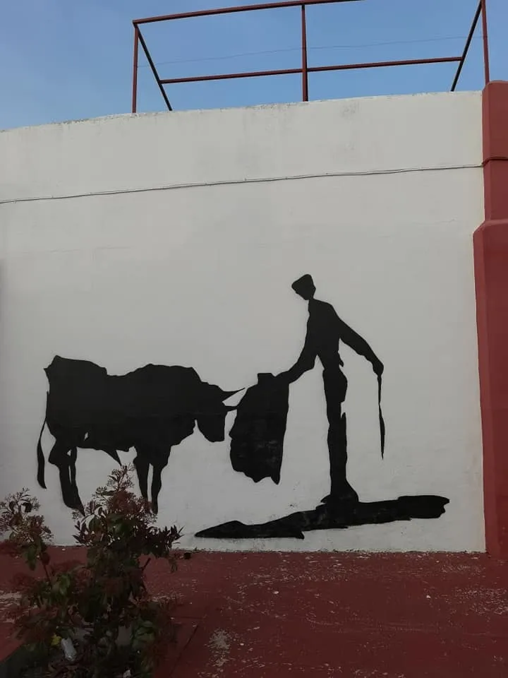 Foto 5 - Kikeartmd decora la plaza de toros de Villoria&nbsp;  