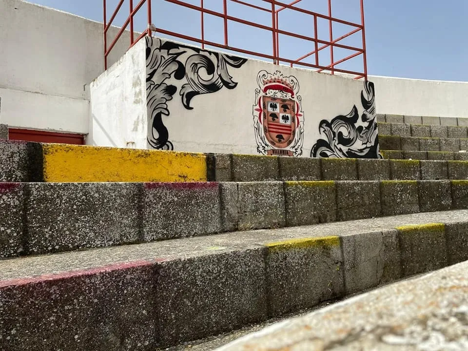 Foto 2 - Kikeartmd decora la plaza de toros de Villoria&nbsp;  