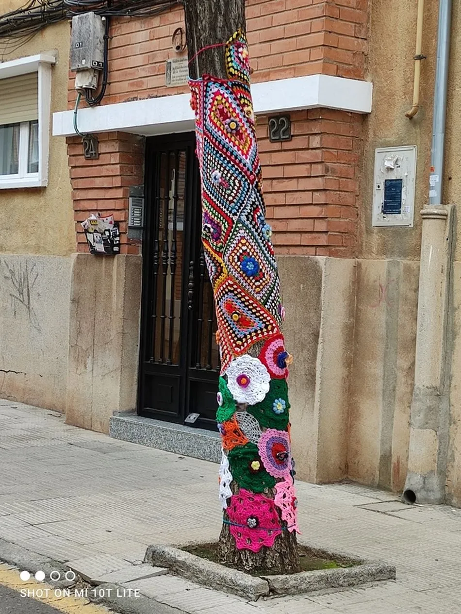 Foto 6 - ASECAL y sus mayores llenan de ganchillo y de color las calles de la ciudad