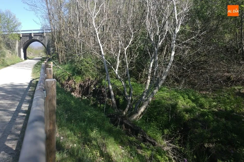 Foto 2 - El Camino Natural de la V&iacute;a de la Plata necesita mantenimiento