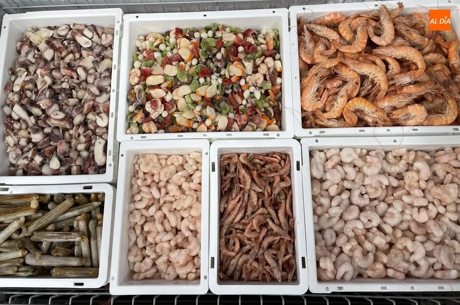 Foto 7 - Disanfrio, tu tienda de congelados de confianza en Alba de Tormes
