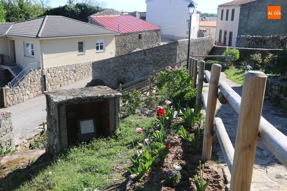 Foto 4 - Barruecopardo y la importancia de las peque&ntilde;as cosas  