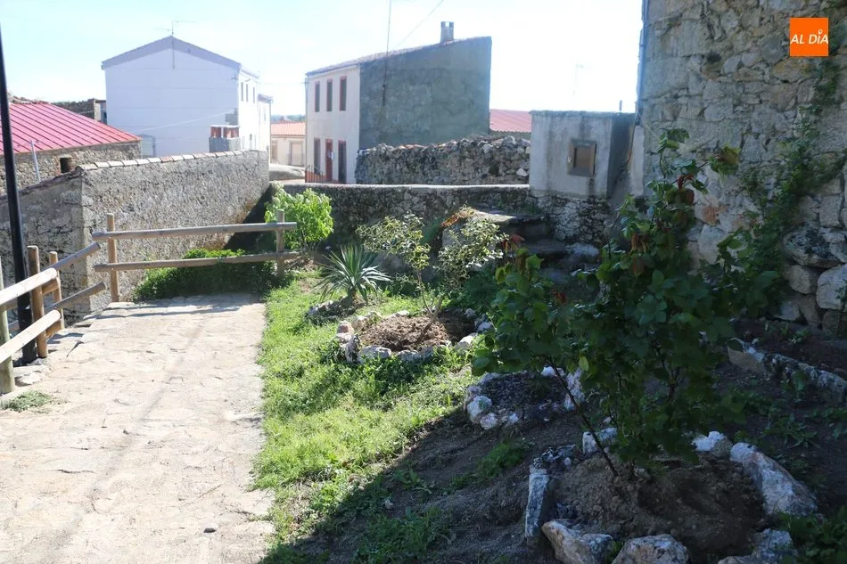Foto 2 - Barruecopardo y la importancia de las peque&ntilde;as cosas  