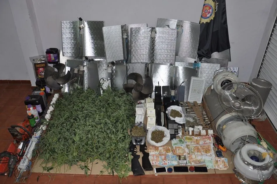 Foto 2 - Detenidos tres hombres y una mujer por cultivo y venta de marihuana en B&eacute;jar
