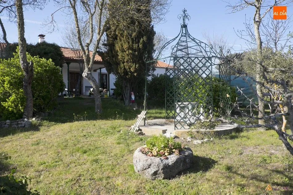 Foto 8 - Clairac, pureza en el campo bravo  