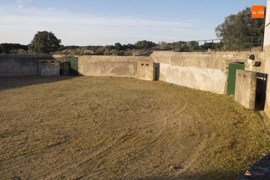 Foto 4 - Clairac, pureza en el campo bravo  