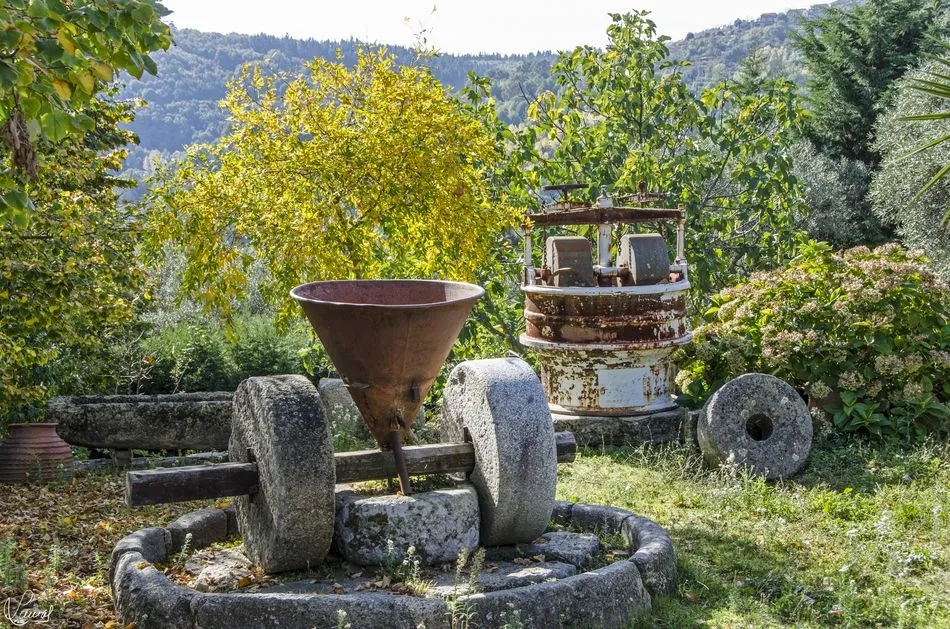 Foto 9 - Mogarraz, sabor a tradici&oacute;n&nbsp;