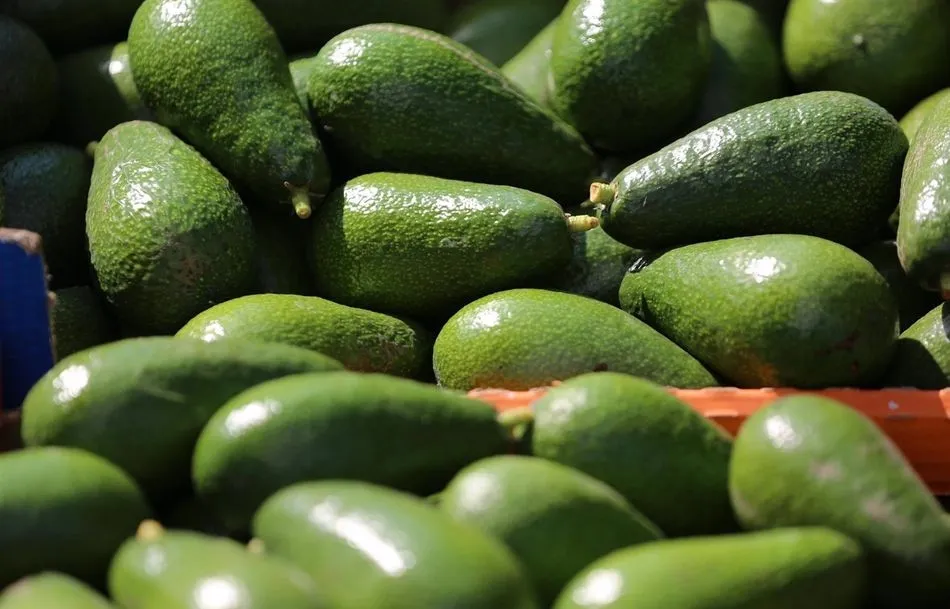 Aguacates