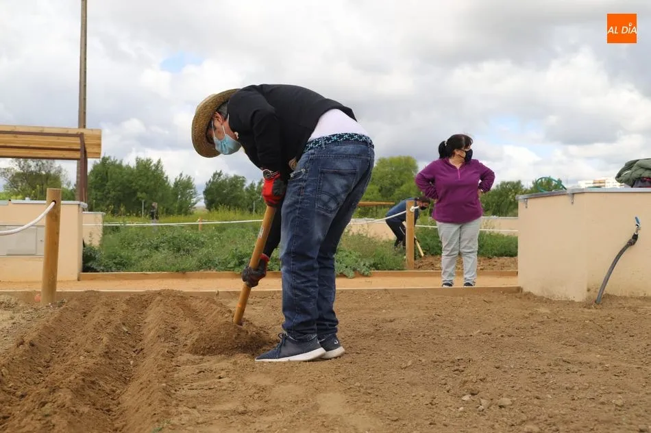 Foto 11 - Salamanca estrena su parque p&uacute;blico con 617 huertos urbanos en la ribera del r&iacute;o Tormes
