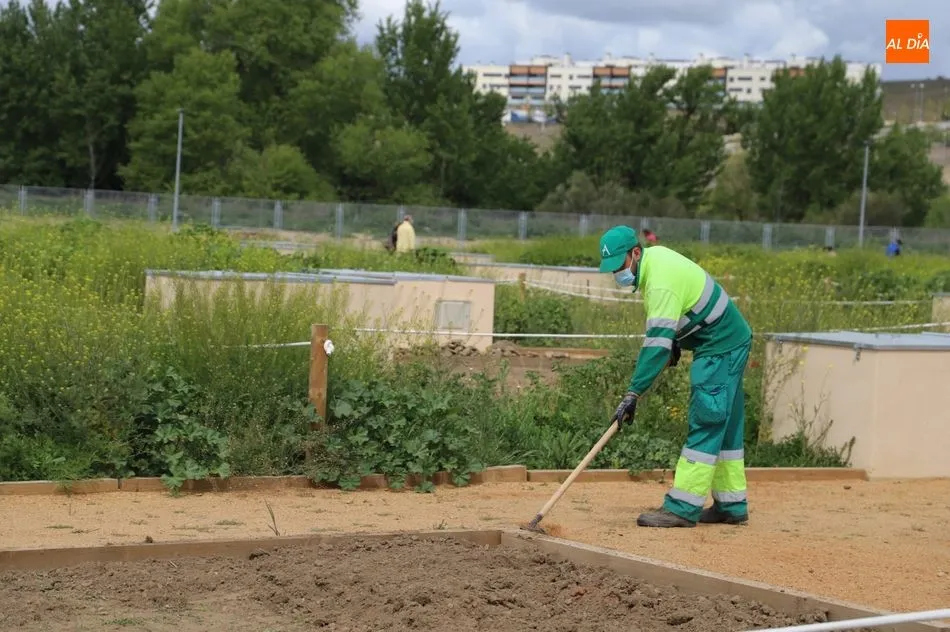 Foto 10 - Salamanca estrena su parque p&uacute;blico con 617 huertos urbanos en la ribera del r&iacute;o Tormes