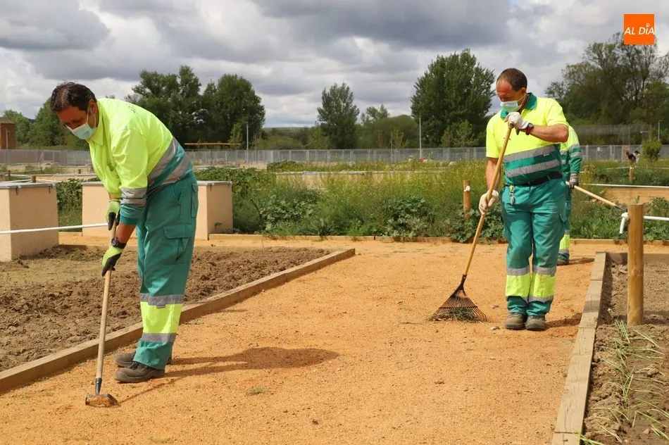 Foto 8 - Salamanca estrena su parque p&uacute;blico con 617 huertos urbanos en la ribera del r&iacute;o Tormes