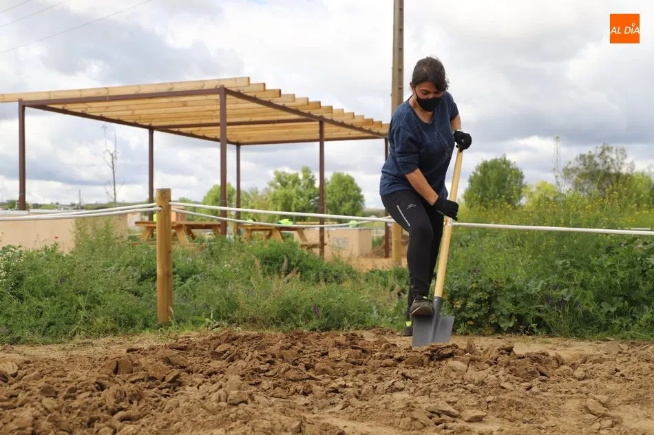 Foto 5 - Salamanca estrena su parque p&uacute;blico con 617 huertos urbanos en la ribera del r&iacute;o Tormes