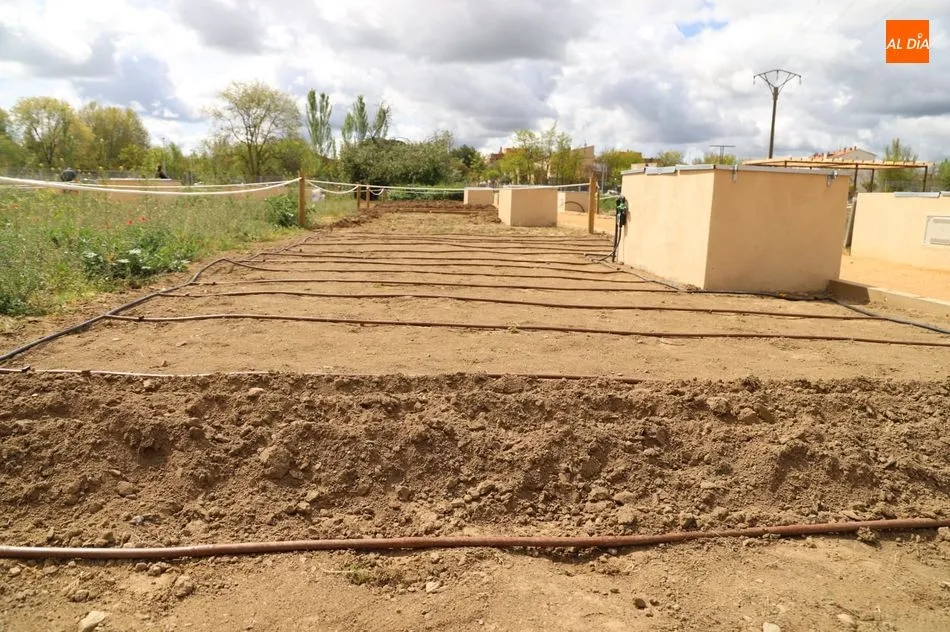 Foto 4 - Salamanca estrena su parque p&uacute;blico con 617 huertos urbanos en la ribera del r&iacute;o Tormes