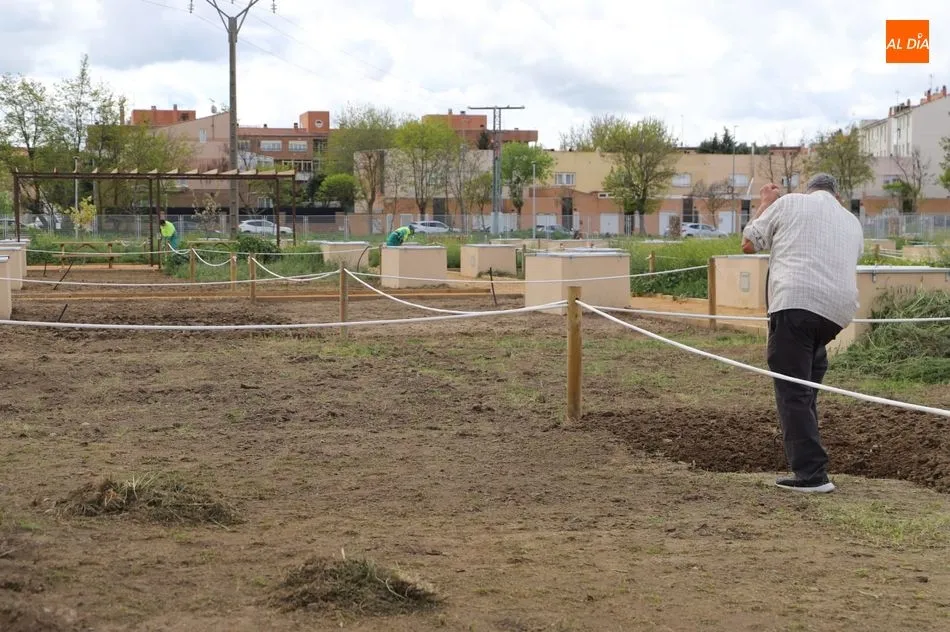 Foto 3 - Salamanca estrena su parque p&uacute;blico con 617 huertos urbanos en la ribera del r&iacute;o Tormes