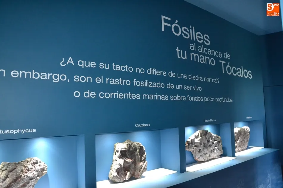 Aprobada en las Cortes una PNL para que la Junta financie el Centro de los Fósiles de Monsagro  