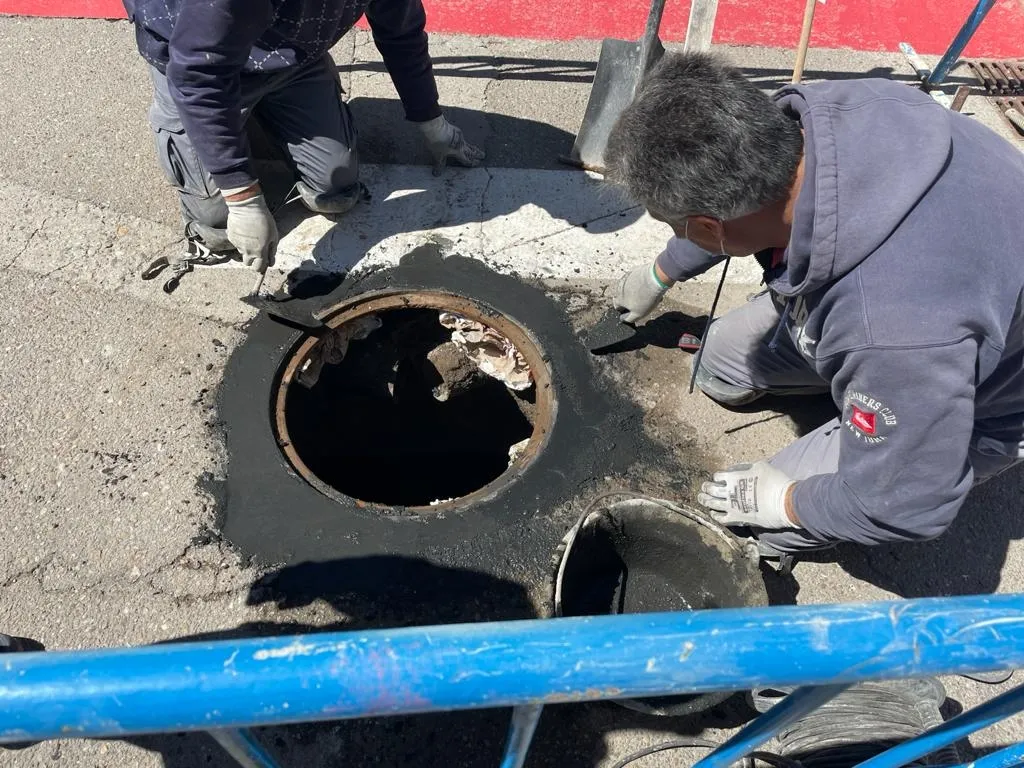 Foto 2 - La llegada de la primavera intensifica los trabajos de jardiner&iacute;a y desbroce