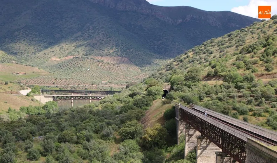 Foto 5 - El Camino de Hierro ya es un recurso tur&iacute;stico de referencia en las Arribes  