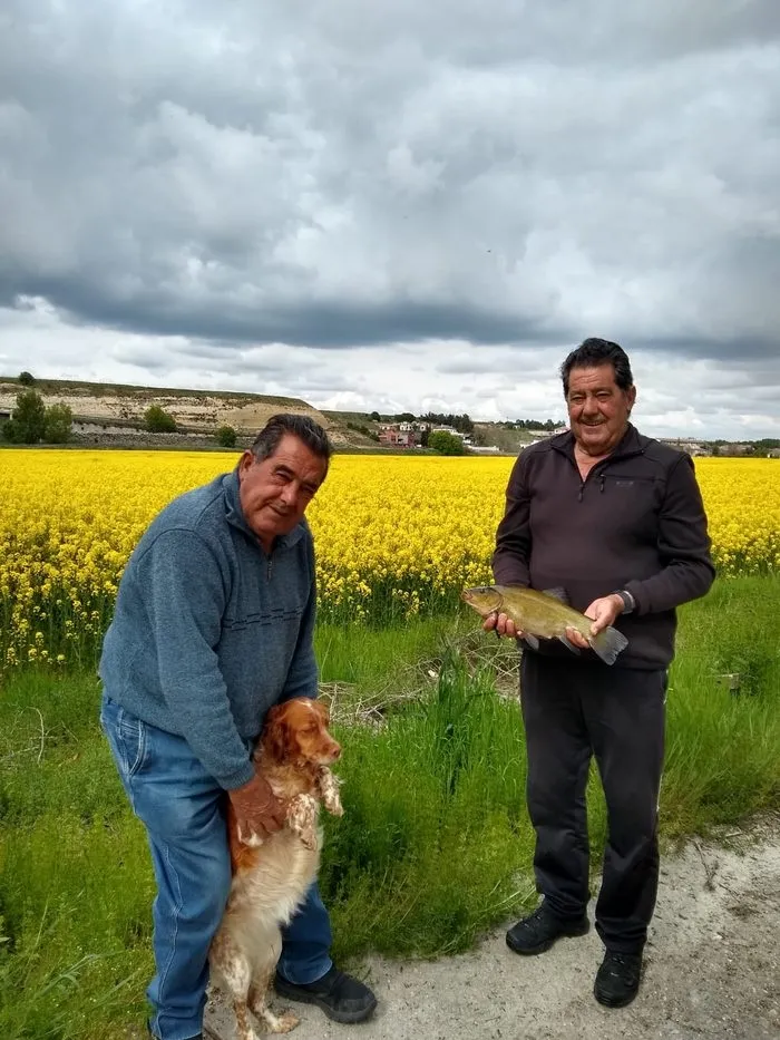 Foto 2 - Todav&iacute;a quedan tencas en el Tormes  