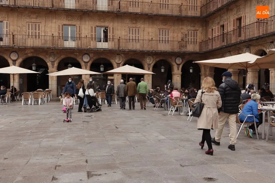 Foto 10 - Salamanca inicia el puente con libros y visitantes