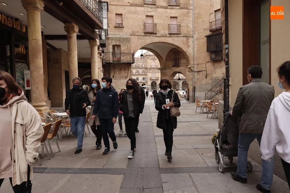 Foto 6 - Salamanca inicia el puente con libros y visitantes