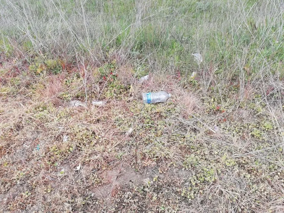 Foto 2 - Un v&iacute;deo en redes sociales denuncia la gran cantidad de basura entre Villamayor y Salamanca