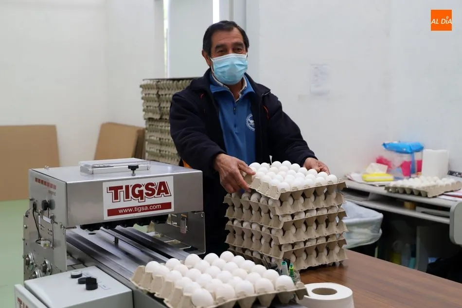 Foto 4 - Godofredo Garc&iacute;a, del Banco de Alimentos: &ldquo;Tenemos suficiente para ayudar a familias hasta el...