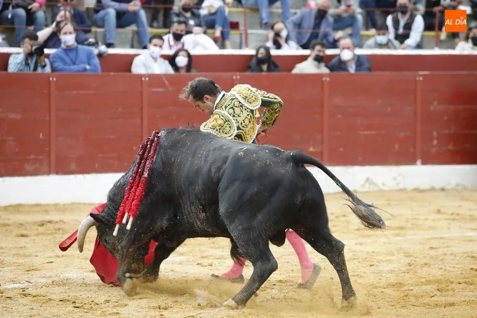 Foto 5 - Los Casta&ntilde;o, a oreja por coleta en su mano a mano en Villoria