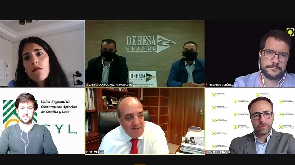 Juan Pedro Medina esbozó en una interesante ponencia cómo será la PAC 2023-2027 / FUENTE: PANTALLAZO DE LA SESIÓN TELEMÁTICA