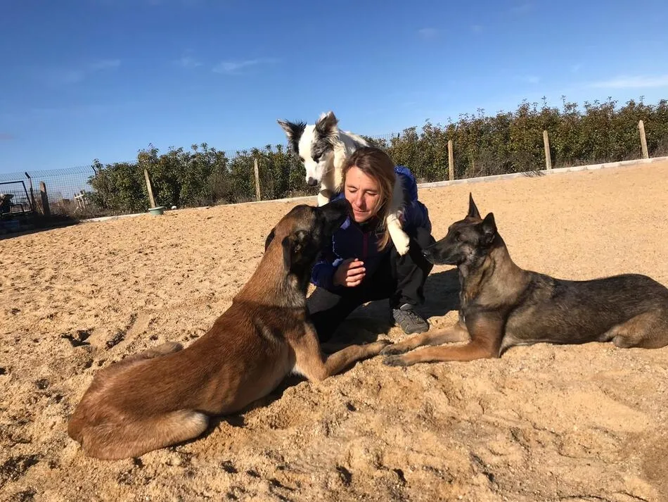 Dirigido por la instructora canina y formadora Raquel Esteban Calvo,