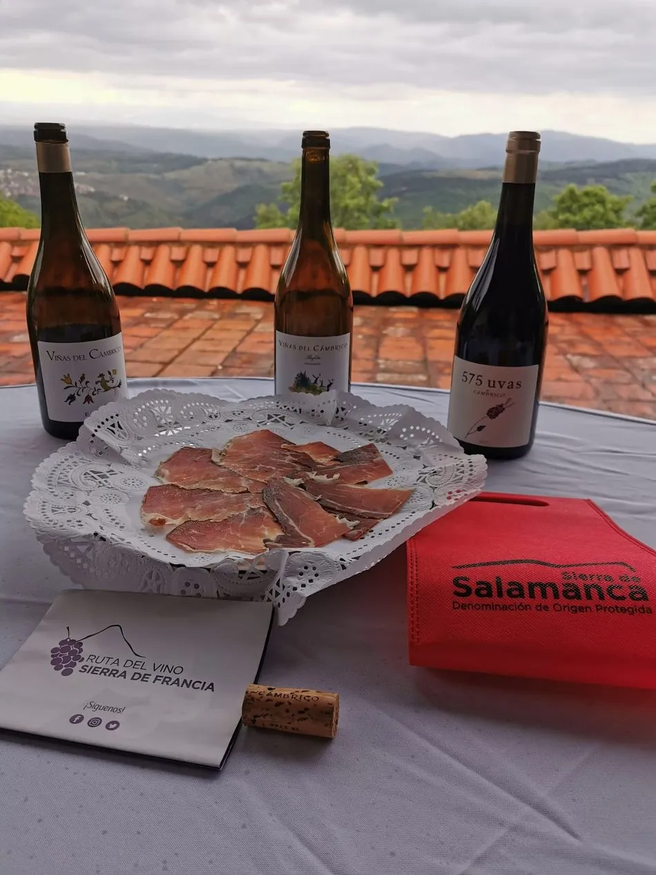 Foto 10 - El proyecto WinEra llega a Salamanca para promover la competitividad del vino de la Sierra de...