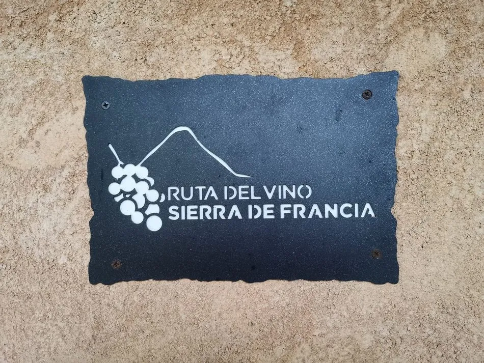 Foto 8 - El proyecto WinEra llega a Salamanca para promover la competitividad del vino de la Sierra de...