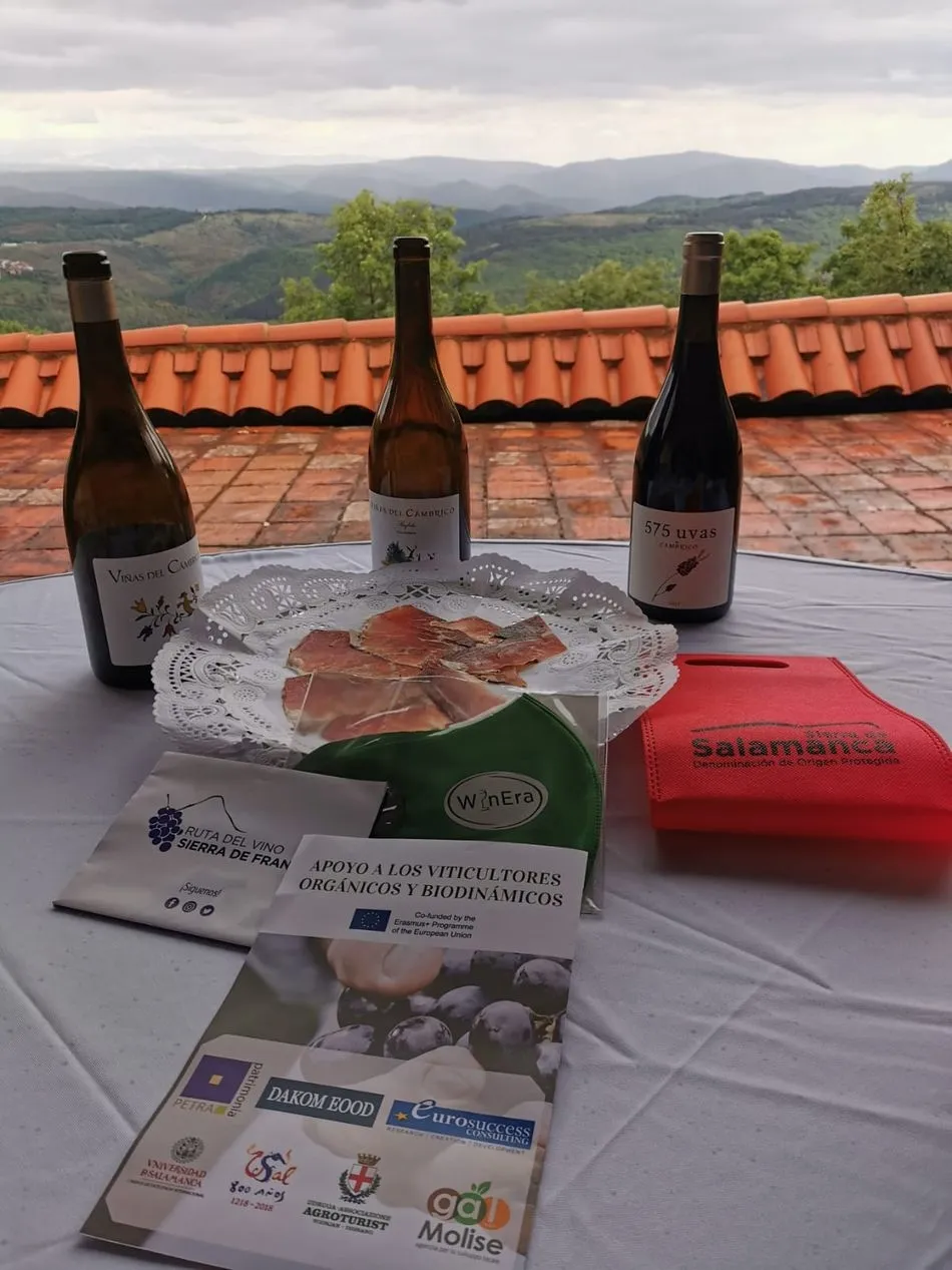 Foto 4 - El proyecto WinEra llega a Salamanca para promover la competitividad del vino de la Sierra de...
