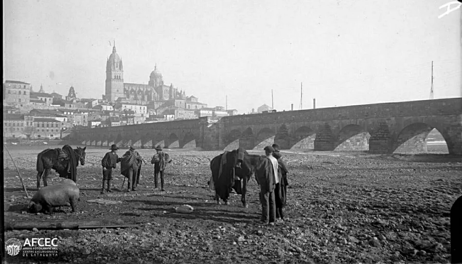 Foto 3 - El antiguo oficio de los tratantes de ganado