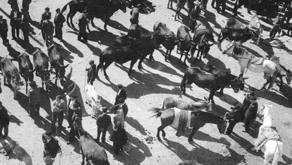 El antiguo oficio de los tratantes de ganado