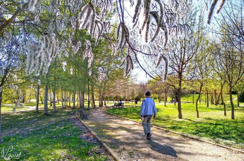 Promesa de nueva vida
