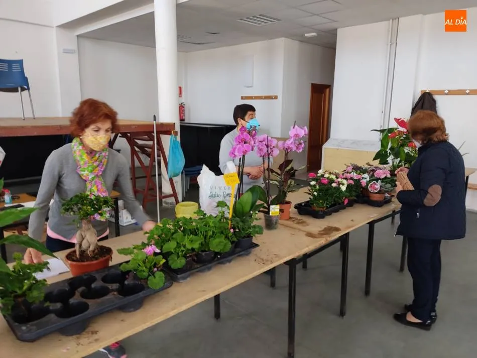 Foto 8 - Villoria derrocha solidaridad con el Mercadillo de las Flores  