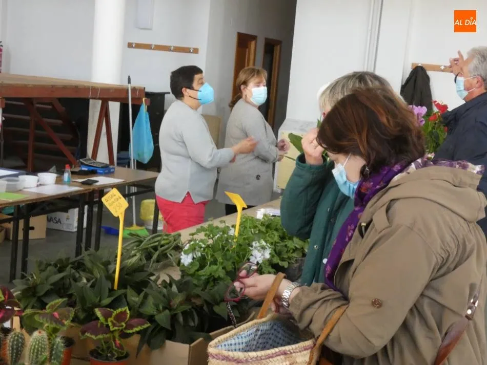 Foto 3 - Villoria derrocha solidaridad con el Mercadillo de las Flores  