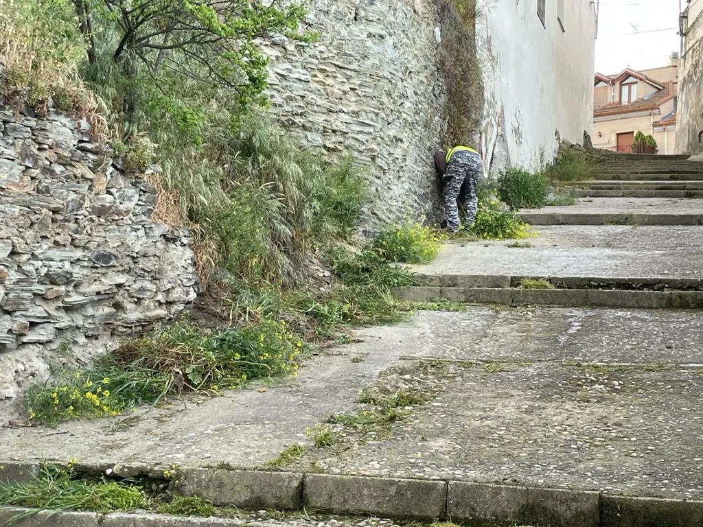 Foto 4 - Se incrementan las tareas de jardiner&iacute;a en Alba de Tormes en las &uacute;ltimas semanas